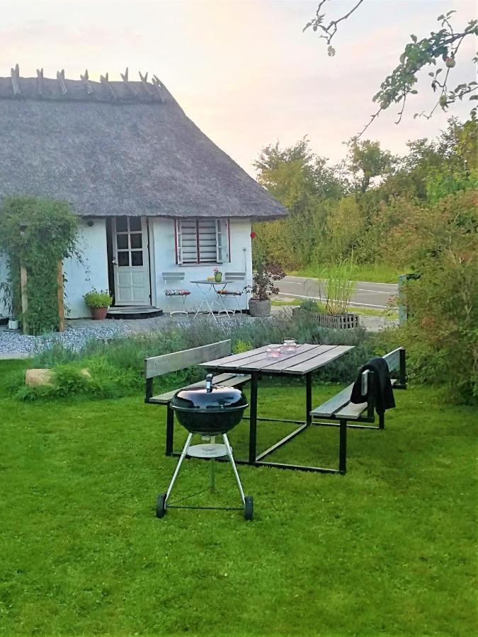 Apartmán The Whispering Apple Garden Retreat Morud Exteriér fotografie